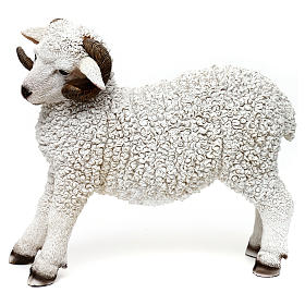 Woolly ram statue, in colored resin for 60-80 cm nativity