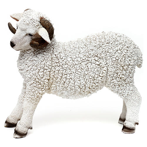 Woolly ram statue, in colored resin for 60-80 cm nativity 1