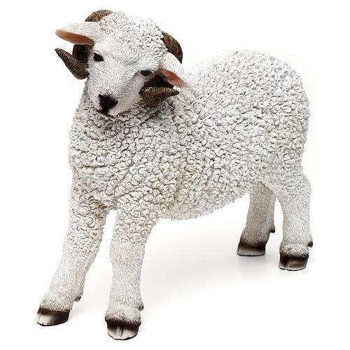 Woolly ram statue, in colored resin for 60-80 cm nativity 3