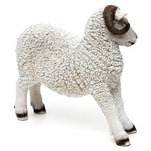 Woolly ram statue, in colored resin for 60-80 cm nativity 4