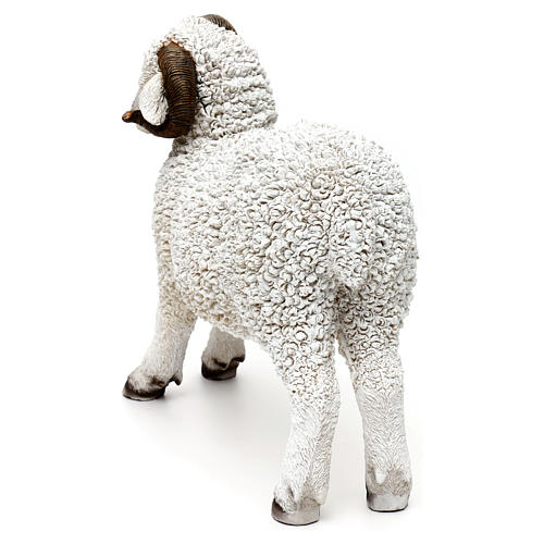 Woolly ram statue, in colored resin for 60-80 cm nativity 5