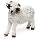 Woolly ram statue, in colored resin for 60-80 cm nativity s3