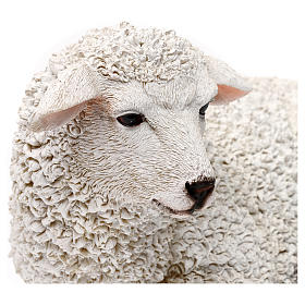 Liegendes Schaf aus bemaltem Kunstharz für 60-80 cm Krippe