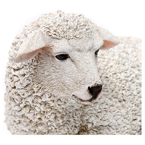 Liegendes Schaf aus bemaltem Kunstharz für 60-80 cm Krippe 2