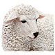 Liegendes Schaf aus bemaltem Kunstharz für 60-80 cm Krippe s2