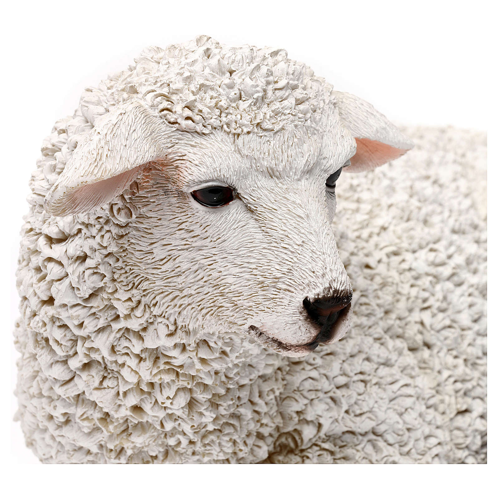 Woolly Sheep Lying Down In Colored Resin For 60 80 Cm Online Sales On Holyart Com