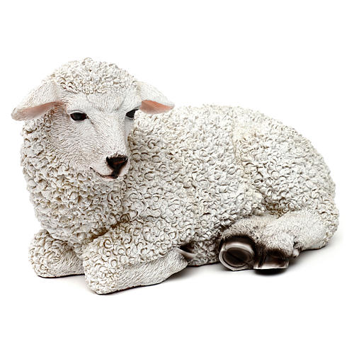 Woolly sheep lying down, in colored resin for 60-80 cm nativity 4