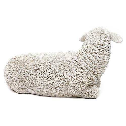 Woolly sheep lying down, in colored resin for 60-80 cm nativity 5