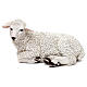 Woolly sheep lying down, in colored resin for 60-80 cm nativity s1