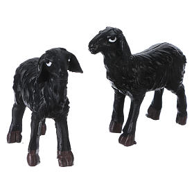 Couple de moutons noirs pour crèche de 11 cm