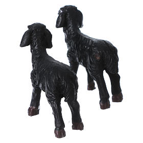 Casal ovelhas pretas para presépio com figuras 11 cm altura média