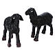 Casal ovelhas pretas para presépio com figuras 11 cm altura média s1