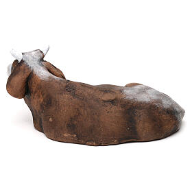 Wół terakota, szopka neapolitańska 12 cm