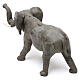 Elephant 10 cm Neapolitan nativity terracotta figurine s5