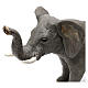 Elefante em terracota para presépio napolitano com figuras 10 cm altura média s2