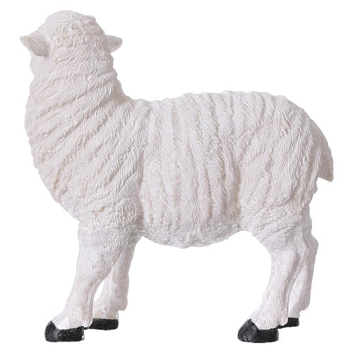 Set of 2 resin sheep for Nativity scenes 35-45 cm 4