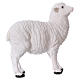 Set 2 ovelhas resina para presépio com peças de 35-45 cm de altura média s1