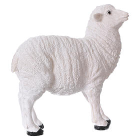Set 2 sheep in resin for 35-45 cm nativity