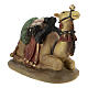 Set of 2 resin camels for Nativity scenes of 11 cm s3