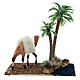 Oásis com palmeiras e camelo para presépio 10x10x7 cm s4