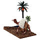 Oasis with palms and standing camel for nativity 10x10x7 cm s2