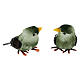 Pássaro colorido em miniatura 3 cm para presépio com figuras altura média 8 cm s7