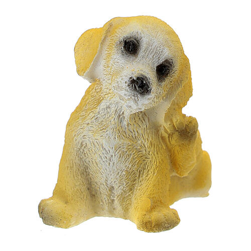 Puppy figurine real h 2 cm for DIY nativity 8-12 cm 6