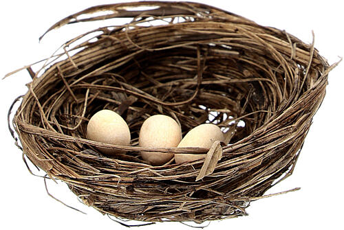 2 coloured birds with nest and eggs Nativity scene 10 cm 3