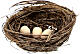 Couple oiseaux colorés avec nid et oeufs crèche 10 cm s3