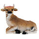 STOCK Bue e asino resina per presepe 85 cm s2