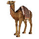 Kamel aus Harz für Krippe, 80 cm s4