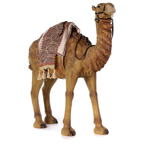 Camel in resin for Nativity scene 80cm 3