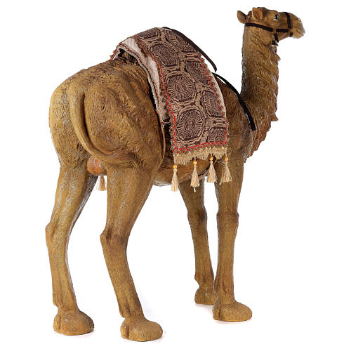 Camello belén resina 80 cm 7