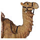Camello belén resina 80 cm s2