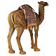 Camello belén resina 80 cm s7