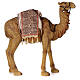Resin Camel figure for 80 cm nativity s1