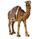 Resin Camel figure for 80 cm nativity s3