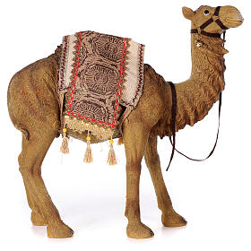 Camel in resin for a 60cm Nativity Scene