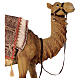 Camel in resin for a 60cm Nativity Scene s2