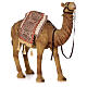 Camel in resin for a 60cm Nativity Scene s3