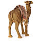 Camel in resin for a 60cm Nativity Scene s7