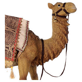 Camello belén 60 cm resina