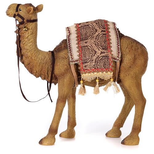 Camello belén 60 cm resina 6