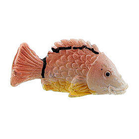 Pesce presepe 8-10-12 cm resina modelli assortiti
