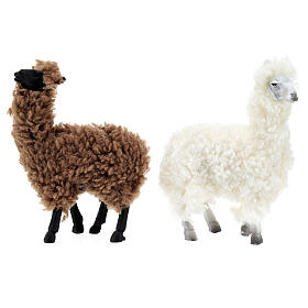Alpacas, set of 2, for Nativity Scene with 12 cm characters