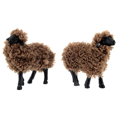 Gruppo di 5 pecore presepe 16 cm resina 3
