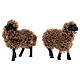 Gruppo di 5 pecore presepe 16 cm resina s3