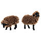 Conjunto 5 ovelhas resina para presépio com figuras de 16 cm s4