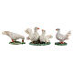 Pigeon figurine set 3 pcs for 10 cm nativity scene s1