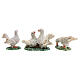 Pigeon figurine set 3 pcs for 10 cm nativity scene s6